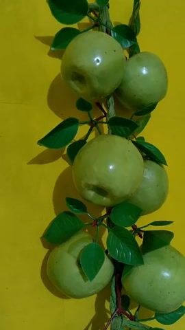 The video shows a vertical arrangement of artificial green apples and leaves against a bright yellow background. The apples are clustered together on a faux branch, with the green leaves positioned around them. Light reflects off the smooth surface of the apples, creating highlights.