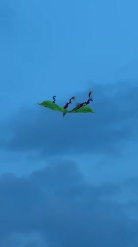 Beach gymnastics, kite flying captured in Nha Trang morning