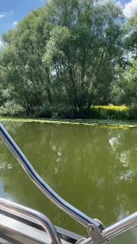 This is a first-person perspective video of someone on a boat moving through a lake. The water is a murky green with lily pads floating on the surface. Tall trees with dense green foliage line the shore. The sky is blue with scattered white clouds. The video pans slightly, showing the railing of the boat in the foreground.