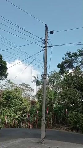 A concrete utility pole stands in the center of a paved road. The pole is adorned with numerous wires and electrical components. To the left and right of the pole, small red and white flags are planted along the side of the road. Lush green trees and vegetation surround the scene, under a bright blue sky with scattered white clouds. The video appears to be taken from a stationary position, looking slightly upwards towards the pole and the sky.