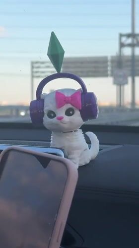 Driver with novelty bobblehead travels sunny Russian highway