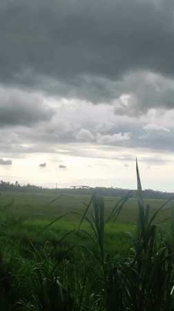 Rural farmland scenes captured in Lhokseumawe, Indonesia morning