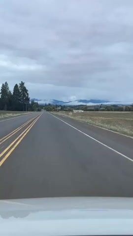 A POV shot from inside a vehicle shows a straight, paved road with two lanes and yellow double lines. The road leads toward a distant horizon where mountains are visible under a cloudy sky. On the left side of the road, there are several tall evergreen trees and a flat, grassy field. On the right side, there are more fields, some with dry vegetation, and a few buildings in the distance. The overall scene appears to be rural and somewhat overcast.