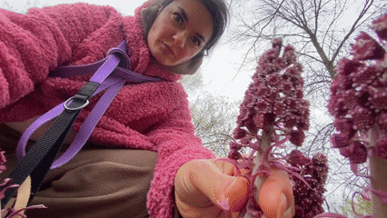Woman enjoys purple flowers in Moscow park morning