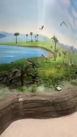 The video shows a museum exhibit featuring a dinosaur diorama with a mural backdrop. The mural depicts a lush, prehistoric landscape with various dinosaur species, including long-necked herbivores and smaller theropods. The diorama includes artificial plants, rocks, and a small body of water, all contributing to the scene's realism. Above the diorama hangs a complete dinosaur skeleton, extending from one end of the exhibit to the other, dominating the space. A woman in a black coat walks through the exhibit, moving from the diorama towards the dinosaur skeleton, taking in the display. The museum has a modern architectural design with multiple levels visible in the background.