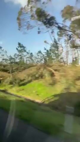 The video shows a landscape viewed from a moving vehicle, likely a bus or car. The scenery is predominantly green with stretches of grass and vegetation. There are trees in the foreground, some of which appear damaged or uprooted. Beyond the green area, there are scattered structures, some possibly damaged. The sky is blue with scattered clouds. The overall impression suggests an area affected by a natural disaster, like a storm or hurricane, given the apparent destruction of the vegetation and some of the buildings.