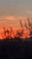 Orange sunset with airplane contrail observed in Kyrgyzstan