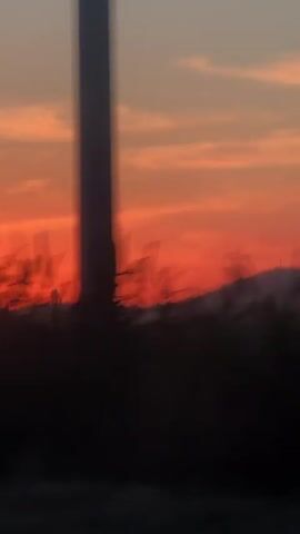 The video shows a blurred view of a vivid orange sunset, partially obscured by dark, blurry trees and vegetation in the foreground. A faint contrail from an airplane is visible in the sky.