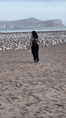 Woman runs toward seagull flock on Arica beach