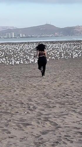 Woman runs toward seagull flock on Arica beach