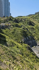 Morning coastal views documented at Oryukdo Island, Busan