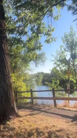 The video shows a tree-lined path next to a body of water. The sun is shining brightly through the trees, casting shadows on the path. A wooden fence runs along the edge of the path, separating it from the water. In the distance, there are more trees and some houses. The sky is blue and clear.