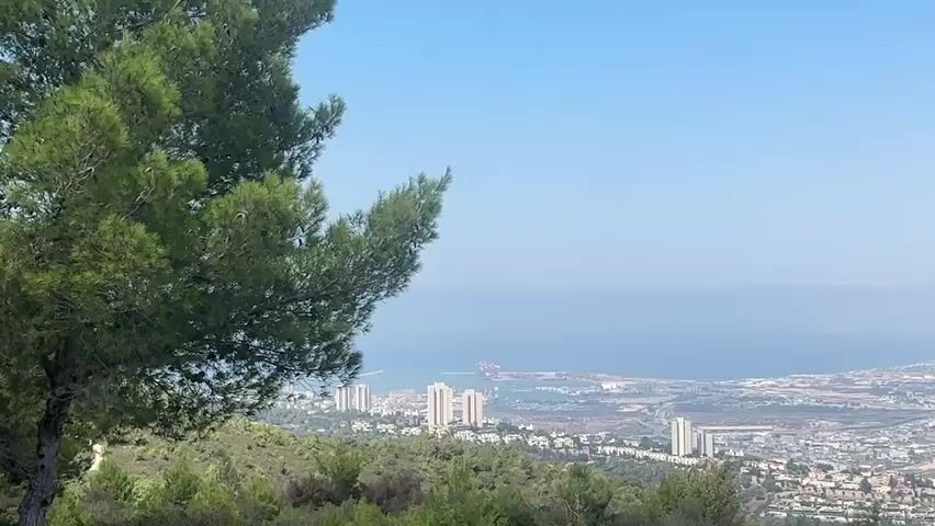 This video captures a panoramic view of a city nestled between a body of water and a vast landscape. In the foreground, lush green trees and foliage frame the scene, with a large pine tree dominating the left side. The camera pans slowly from left to right, revealing a sprawling urban area with numerous buildings, including high-rises and smaller structures. Beyond the city, a calm blue body of water stretches towards the horizon, with a large ship docked at a port visible in the distance. The sky is a clear, pale blue, with faint clouds appearing in the far distance. The overall impression is one of a vibrant city situated in a scenic coastal environment.