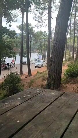 The video shows a view from a wooden picnic table looking towards a body of water surrounded by trees. Several cars are parked along a road next to the water. In the distance, there are a few people sitting at picnic tables near the water. The scene appears to be a park or recreational area.