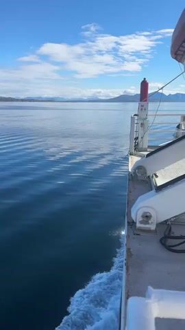The video captures a scenic view from a boat traveling through a calm body of water, likely a fjord given the mountainous landscape in the distance. The water is a deep blue, reflecting the clear sky dotted with white clouds. The time of day appears to be late morning or early afternoon, as indicated by the bright sunlight casting gentle ripples on the water's surface.

The foreground of the video shows the side of the boat, with a white railing and some machinery visible. A red and white cylindrical object, possibly a lifebuoy or safety equipment, is mounted on the deck. A person's arm, wearing a blue sweater, rests on the railing, suggesting they are enjoying the view or the ride. The boat is creating a white wake behind it, indicating movement.

In the distance, a line of mountains with snow-capped peaks can be seen, suggesting a cold or mountainous region. The overall atmosphere is peaceful and serene, with the gentle movement of the boat and the vast expanse of water and sky creating a sense of tranquility. The location context provided places this scene in Lodingen, Norway, which aligns with the mountainous and coastal scenery. There is no visible text in the video.