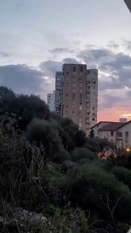 The camera pans upwards from a hillside covered in thick green vegetation, revealing a tall, apartment building with many windows. The sky behind the building is filled with grey clouds, tinged with the pink of a setting sun. As the camera continues to pan upwards, a lone tree with dark green foliage is revealed on the hillside, standing out against the twilight sky.