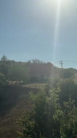 A lone house sits on a grassy hillside under a bright sun. Trees and bushes dot the landscape. The sky is clear and blue.