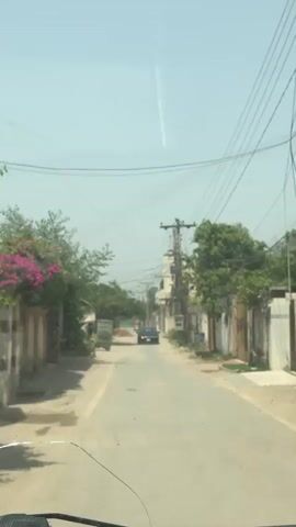 The video captures a daytime drive down a residential street in Nasheman Colony, Pakistan. The scene features a narrow, asphalt road lined with two-story, light-colored houses and abundant green foliage, including trees and bushes with pink flowers. Prominent utility poles laden with a dense network of overhead wires are visible along the street. A black sedan is initially seen driving towards the camera before pulling off to the right side of the road. The weather is sunny with a clear sky, and strong daylight illuminates the scene. A partially visible sign on the right side of the road appears to have "PIA" written on it. The view is from the perspective of a moving vehicle, with the top of the dashboard and windshield wipers visible at the bottom of the frame.