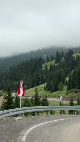 The video shows a winding mountain road with a guardrail in the foreground. A red and white directional sign indicates a curve to the right. The road leads through a dense forest of evergreen trees, with patches of green grass on the slopes. In the background, mist partially obscures the mountain peaks, creating a cloudy and atmospheric scene. A cable car is visible suspended over the trees, traveling uphill. The overall environment suggests a remote, natural setting, possibly a ski resort or a scenic mountain pass. The weather appears overcast and cool.
