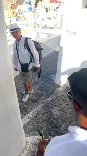 Quiet morning in Oia: ocean views, clifftop terraces, a lounging cat