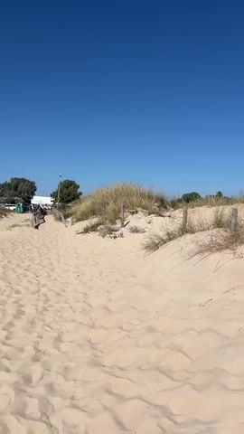 This is a video of a sandy beach with sparse vegetation and dunes. The sky is a clear, bright blue, suggesting a sunny day, likely midday given the bright light and minimal shadows. The scene appears to be a natural beach environment with some man-made elements like wooden posts and fencing, possibly to delineate paths or protect the dunes.

In the distance, there are hints of activity on the main beach, with what appear to be beach umbrellas and scattered figures, indicating that people are present and enjoying the beach. The foreground is dominated by sand dunes with dry grasses and some green scrub, giving a sense of a coastal landscape. The camera is moving, providing a panoramic view as it pans across the dunes and towards the main beach area. There are no discernible emotions conveyed, but the bright sunlight and clear sky suggest a pleasant day. No text is visible in the video. The location context of Vejer de la Frontera, Spain, places this scene on the coast of Andalusia.