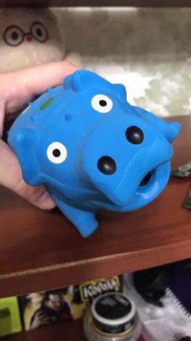 The video shows a close-up, medium shot of a blue rubber pig toy being squeezed and squeezed by a person's hand. The pig is positioned on a wooden shelf, and the background is blurry, but it appears to be a room with other objects on shelves below. The pig's mouth opens and closes as it is squeezed. The toy has white eyes with black pupils and black nostrils. The pig also has small green spots on its body. The lighting in the video is artificial.