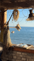Coastal leisure activities captured at seaside location