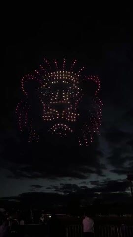 Here is a description of the video.
The video shows a drone light show creating the shape of a lion in the night sky. The lion's face is formed by numerous small lights that define its outline, mane, and features. The sky is dark with some visible clouds. In the foreground, there is a silhouette of people standing behind a fence, observing the display. One person is wearing a pink jacket.