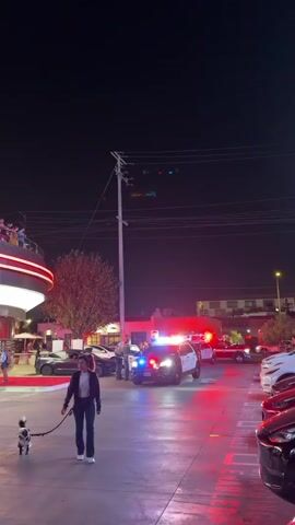A video clip shows a nighttime scene with a building that appears to be a restaurant or club with a circular, multi-level structure and neon lighting. Several people are visible on an upper balcony of the building. In the foreground, a woman walks a small dog on a leash. Behind her, there are several parked cars, including what appear to be Tesla models. Further down the street, at least two police cars are present, their lights flashing red and blue, suggesting an ongoing incident. The overall environment is an urban or commercial area, illuminated by artificial lights and the flashing emergency lights of the police vehicles.