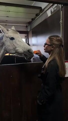 A woman with long, light brown hair and glasses stands in front of a horse stall, feeding a speckled gray horse a carrot. The horse is partially visible, with its head extending over the top of the dark wooden stall. The woman is wearing a black coat and holding the carrot towards the horse’s mouth. The stall has a white ceiling, and the background suggests a stable environment.