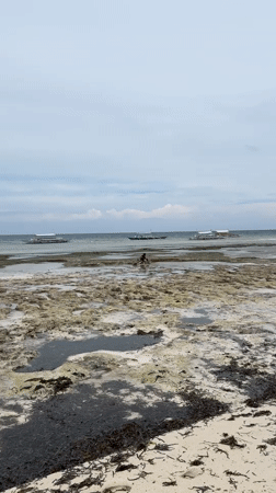 Panglao, Philippines