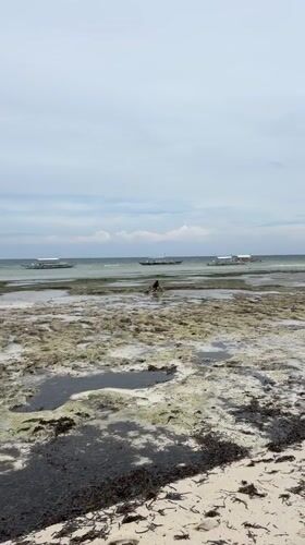 Panglao, Philippines
