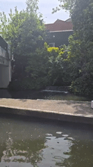 London waterway scene captured with vegetation-lined concrete banks