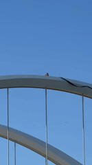 Two people climb bridge arch as police respond