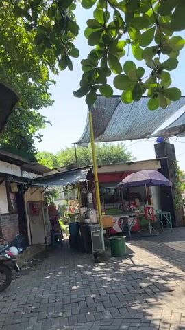 A low-angle, outdoor video captures a sunlit pathway lined with small shops and food stalls. Dense green foliage overhangs the scene from the top left. In the foreground, a paved walkway with interlocking stones leads into the frame. To the left, a white motorcycle is parked. Further down the path, a series of small, open-fronted stalls are visible. One stall has a black tarp roof supported by a yellow pole. Inside this stall, various items are displayed, including what appear to be food products and equipment. Adjacent to this, another stall features a purple umbrella, beneath which a person in red appears to be interacting with a customer. A blue trash bin is located in front of the yellow-poled stall. The background reveals more structures and greenery under a clear blue sky.