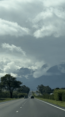 Morning traffic observed on cloudy tree-lined road near Stellenbosch