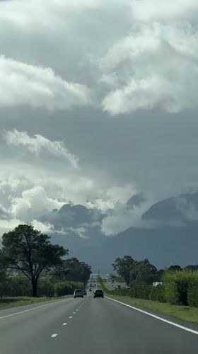 Morning traffic observed on cloudy tree-lined road near Stellenbosch