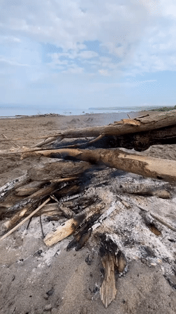 Burning log pile on a sandy beach in Krasnoturansk