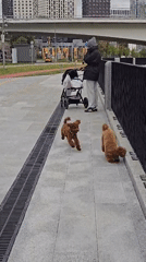 Morning life along Moscow's Moskva River promenade