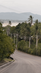 Winding palm-lined road curves through Ko Samui