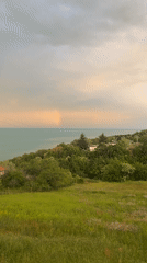 Coastal rainbow and yellow flowers observed near waterfront