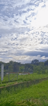 Witness documents overcast evening in rural Vallecito, Venezuela