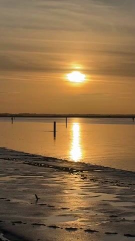 The video shows a sunset over a calm body of water, likely a bay or a wide river. The sun is a bright, pale disk in a sky filled with yellow and orange clouds. Its reflection forms a vertical stripe of light on the water's surface. There are several dark, wooden posts sticking out of the water. The foreground is a mudflat or a sandy beach, with small puddles reflecting the sky. Faint figures of people are visible in the distance, either walking along the shoreline or standing in the shallow water.