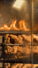 Rotisserie chickens cooking in commercial oven in Yerevan