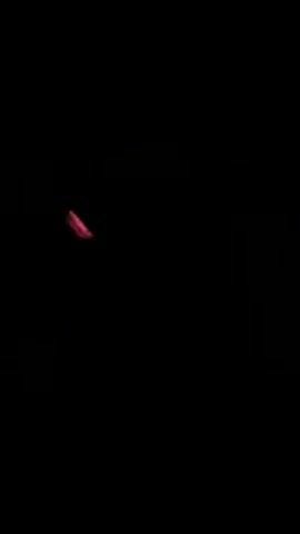 The video contains only blackness. There is no discernible content.