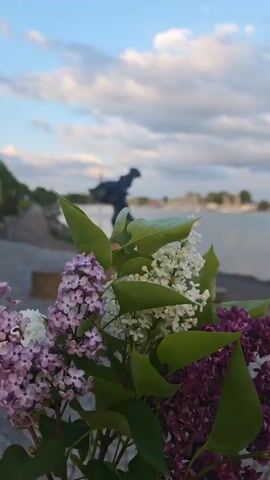 The video begins with a blurry shot of a bouquet of white, purple, and lilac flowers. The background shows a statue of a person in silhouette standing on a pedestal near a body of water. The camera focuses and the view shifts to the statue. The statue appears to depict a person leaping or dancing. The statue stands on a small circular platform, which itself sits atop a larger, brown cylinder. These cylinders are arranged along a paved, sloping walkway composed of small, gray stones set in a circular pattern. A paved path, lined with trees, runs parallel to the water. The water is calm and has several sailboats docked in the distance. The sky is blue with scattered white clouds.