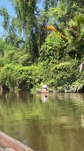 Cruising Banjarmasin's tropical river network on a sunny morning