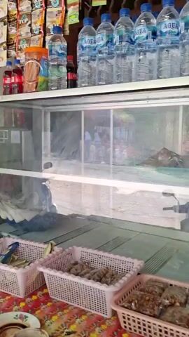 The video shows a stall or shop with various items for sale. In the foreground, there are baskets of what appear to be snacks or dried goods, and a basket of oranges. A woman wearing an apron is visible behind the counter, interacting with a customer. In the background, there are bottles of water stacked on shelves, and a glass display case. A man is seated, and a motorcycle is visible through the glass case. The environment appears to be indoors, possibly a market or roadside stall, with simple furnishings and a casual atmosphere.