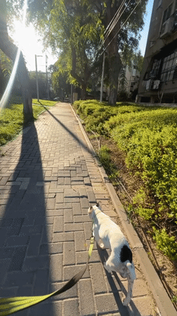 A quiet morning around the streets and parks of Bat Yam