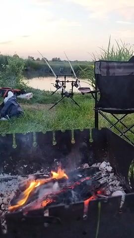 This media file depicts a serene outdoor scene at dusk, likely in Geestland, Germany. The foreground features a rustic metal barbecue grill with a crackling fire, emitting wisps of smoke. To the left, a black bag and a white cooler are placed on the grass.

In the mid-ground, a tranquil body of water, possibly a pond or slow-moving river, is visible, reflecting the soft, diffused light of the setting sun. On the grassy bank beside the water, two fishing rods are set up on a tripod, suggesting an angling activity is underway or has recently concluded. A folding chair with a camouflage pattern is positioned to the right, completing the picture of a leisurely outdoor pursuit.

The background is dominated by lush green grass and reeds, with some distant trees and a pale, cloud-streaked sky. The overall atmosphere is peaceful and relaxed, evoking a sense of calm and quietude typical of a countryside evening. The time of day is clearly indicated by the gentle, warm light and the low angle of the sun, casting long shadows and bathing the scene in a soft glow. There is no visible text in the media.